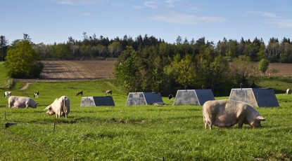 Hvorfor købe økologisk?