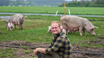 Stenager Økogris