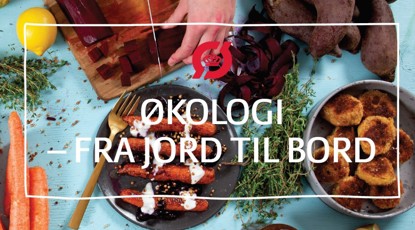 Økologi - fra jord til bord